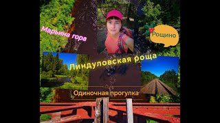 видео: Из Рощино в Зеленогорск. Линдуловская Роща. Одиночная прогулка вдоль реки Рощинки к Финскому заливу. картинка: Из Рощино в Зеленогорск. Линдуловская Роща. Одиночная прогулка вдоль реки Рощинки к Финскому заливу.