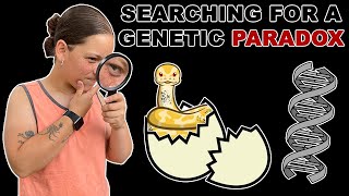 Mahogany Albino Egg Cutting! Did We Hit Another Paradox??? Wealth