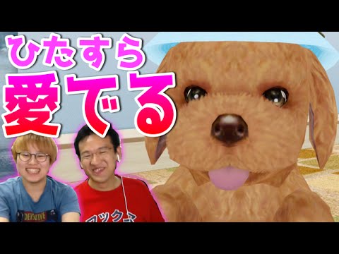 犬好きにはたまらない！ワンちゃん育成ゲーム「てのひらワンコ」