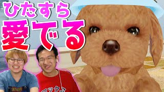 犬好きにはたまらない！ワンちゃん育成ゲーム「てのひらワンコ」 screenshot 3