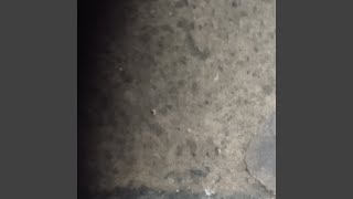 Smoking In The Water