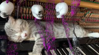 Futari No Kimochi | OST Inuyasha