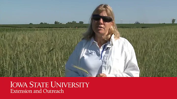 Organic No-Till Farming