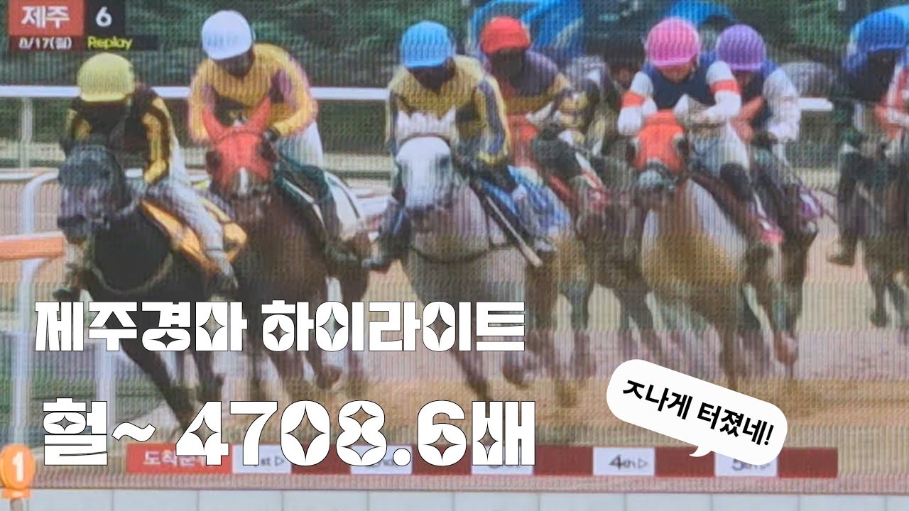 똥말들만 들어온거 보고 놀란 경마팬 한마디 &  이배당을 마춘 줌마부대 백원이 사십만냥^^)