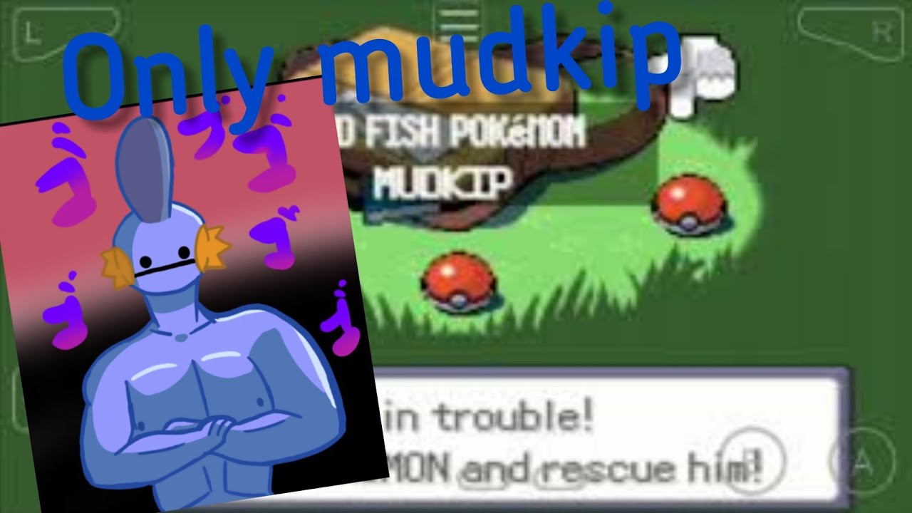 Beating Pokemon Emerald With Only Mudkip | Part 7 | Doing Stupid Stuff