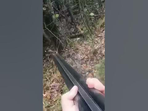 💥 Встреча с МЕДВЕДЕМ в лесу... ( bear attacks russian man ) - YouTube