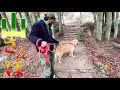 佐賀よか山メンバーと山散歩を楽しむまるくん
