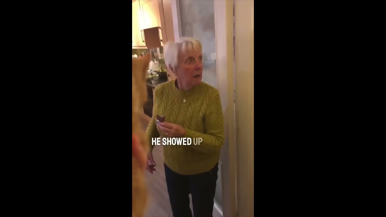 Someone Found Her Cat That S Been Missing For 2 Weeks 