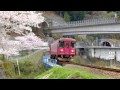 長良川鉄道　トリプルトンネルと桜 の動画、YouTube動画。