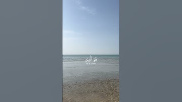 تلاوة من سورة الأحزاب، بصوت القارئ ياسر الدوسري #اكسبلور #أجر #قرآن #قران_كريم #ذكر #ذكر_الله