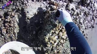 추리추리 낙지잡장~