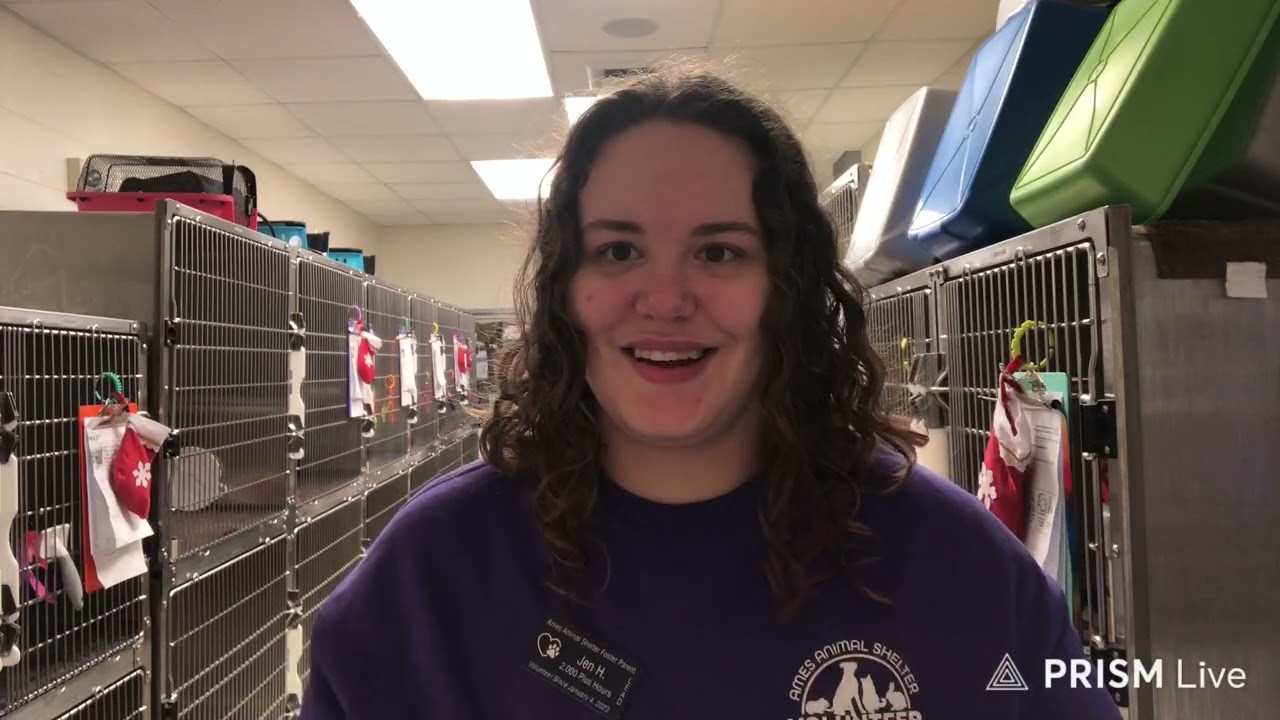 12/28 Animal Shelter Feeding & Cleaning  !sheltertt !stickers no redemptions