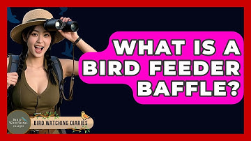 What Is A Bird Feeder Baffle? - Bird Watching Diaries