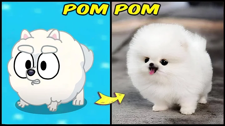 Bluey In Real Life And Other Favorites! | Bluey Season 3