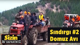 Sındırgı Domuz Avı 2. Bölüm Sizin Av Safariniz Yaban Tv - wild boar hunting