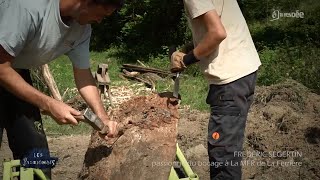 Les Pionnés - Le Bocage