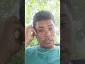 descripción de video de accidente