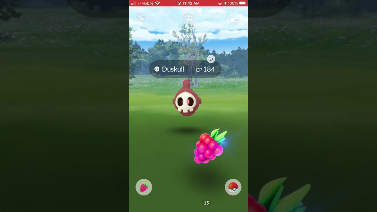 Shiny Duskull on Duskull Community Day 10-9-2021