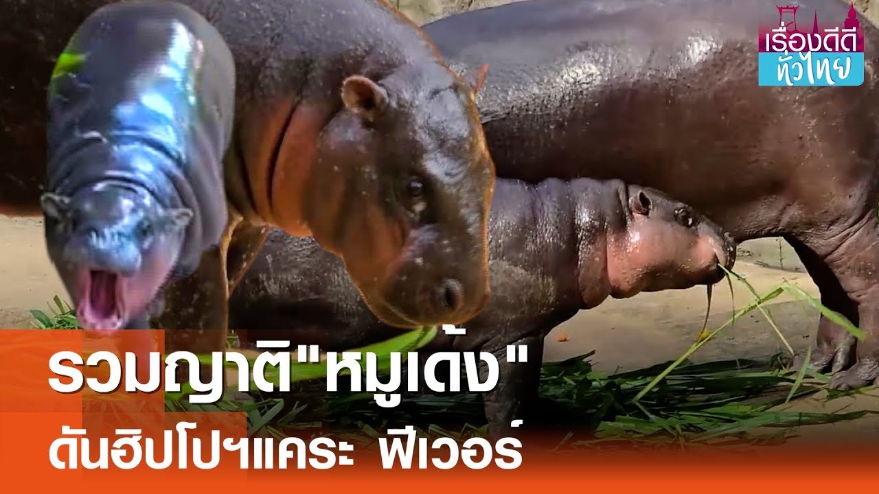 รวมญาติ