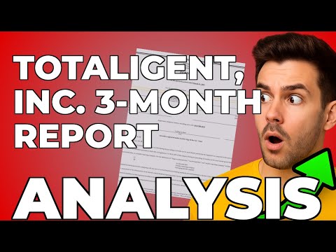 Totaligent's Red Flag: My Takeaway From Their Financials