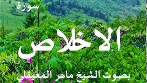 سورة الاخلاص بصوت الشيخ / ماهر المعيقلي 112