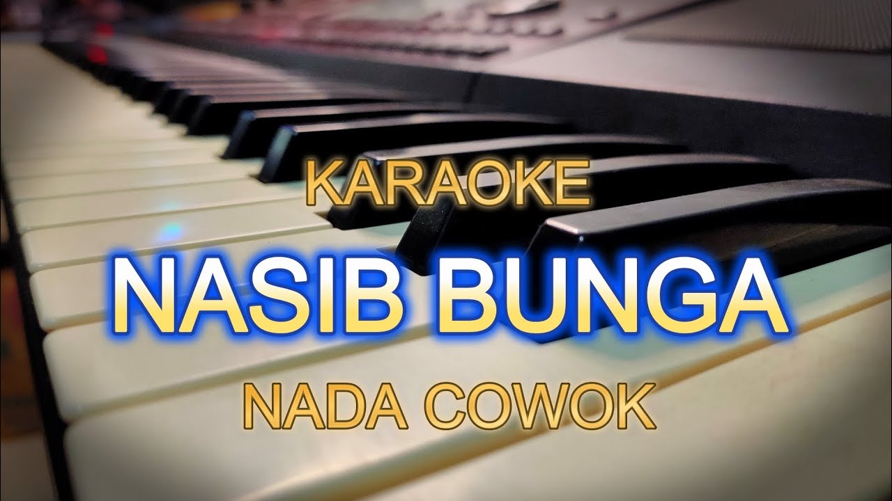NASIB BUNGA KARAOKE NADA COWOK