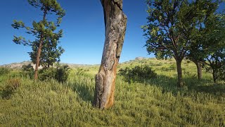 Magic Tree - Red Dead Redemption 2 #Shorts
