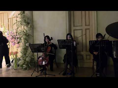 라움 마제스틱볼룸 크라이슬러 아름다운 로즈마린 #피아노4중주 #웨딩연주 #결혼식연주