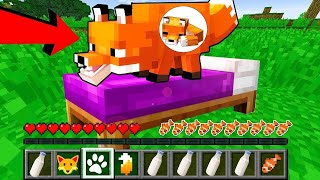 How to play PREGNANT FOX in Minecraft! Real life family DOG! Battle NOOB VS PRO Animation by Object Events. 25,526 views 3 years ago 12 minutes, 18 seconds