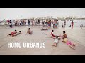 Homo urbanus  bka  lemoine  trailer