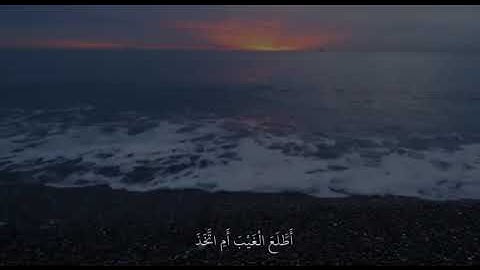 ﴿أَفَرَأَيتَ الَّذي كَفَرَ بِآياتِنا وَقالَ لَأوتَيَنَّ مالًا وَوَلَدًا﴾ ..