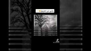 نشيد دلني أين الطريق