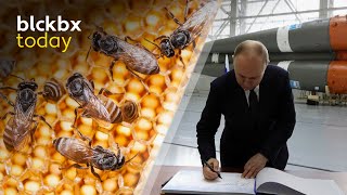 blckbx today: Rechter duikt in vaccinzaak | Europese spanning kernwapens | Mysterie bijensterfte