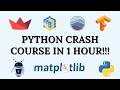 Python Crash Course: Master the Basics in Just 1 Hour ⏱️