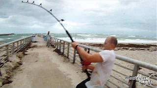 Extreme Saltwater Fishing!(You may live your life and never see anything like this! The entire Sebastian inlet was filled with pinfish. The tarpon, redfish and snook were so thick you could ..., 2011-12-12T12:21:42.000Z)