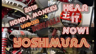 2019 Honda Monkey Yoshimura Exhaust - Unbox/Install/Sound Test!