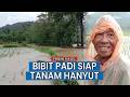 Hujan Deras, Sawah Petani di Desa Kading Barru Terendam Banjir