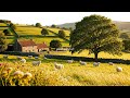 romanticizing a quiet life in the countryside (a relaxing playlist for reading/writing/studying) #10