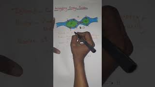 Königsberg bridge problem in graph theory