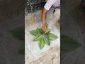 Leafs texture in cement ⚒️ so satisfying to Watch 😂 #cementcrafts #Hacks #shorts #DIY