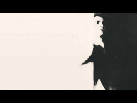 Flies Inside The Sun — Flies Inside the Sun - the afternoon blind
