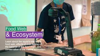 Squid Dissection Lab Programme by Young Nautilus Preview Video