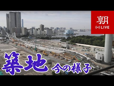 Asahi Shimbun Tsukiji Market Site live cam preview
