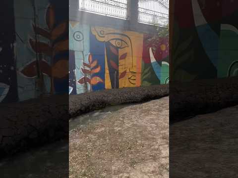 А в вашем городе есть Терренкур? Лучшее место для прогулки в Алматы! #алматы #кудасходитьвалматы