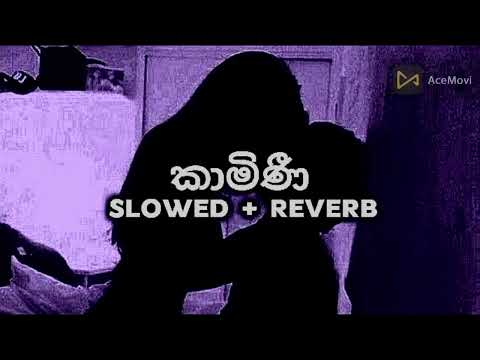 Kamini | කාමිණි (Slowed + Reverb)