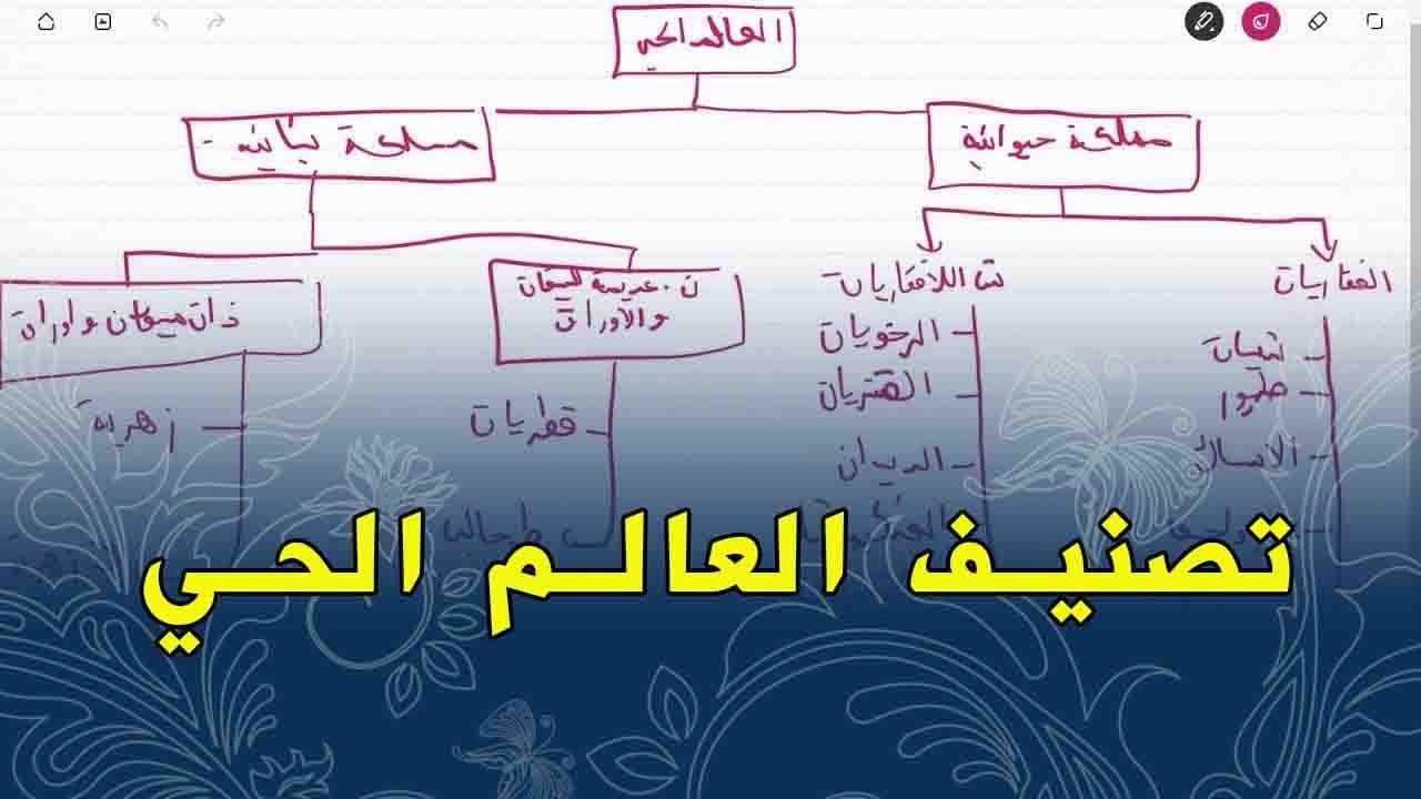 علوم طبيعية الثانية متوسط تمرين على تصنيف العالم الحي
