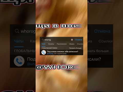 Я была в шоке геймплей популярныемоменты приключениявкск трендыигр2024 пикми