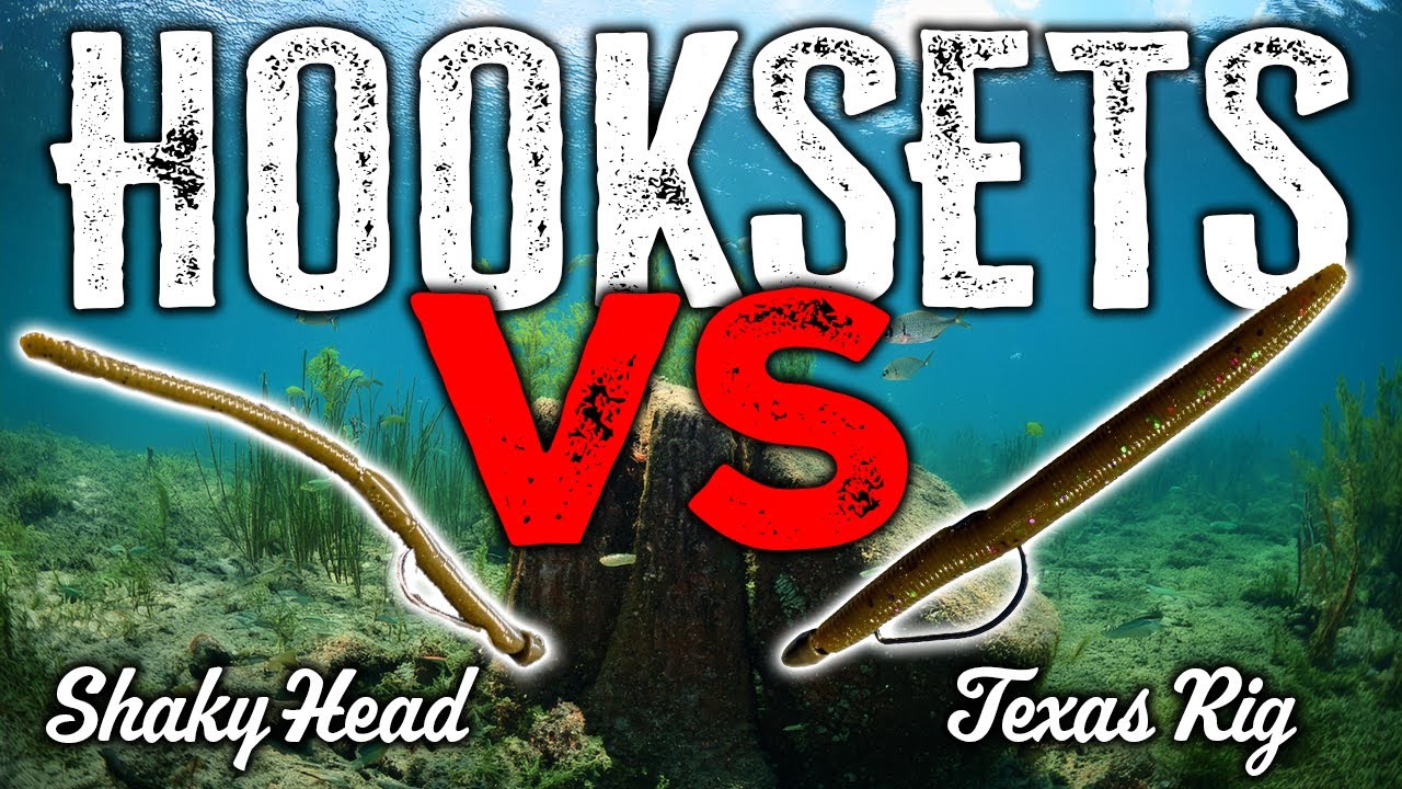 CORRECT Bass Fishing Hookset: Hook Fish Like a Pro (Texas Rig & Shaky Head)