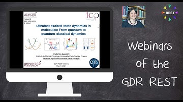 Ultrafast excited-state dynamics: From quantum to quantum-classical dynamics (F.Agostini)