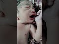 MashAllah❤️ #newmommyslifestyle #normaldelivery #newborn #shorts #unitedstates #midwife #viralshorts